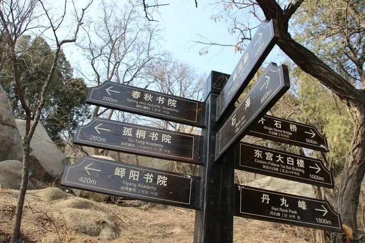 成都广告荔枝视频在线观看无码标识牌广告制造的材料